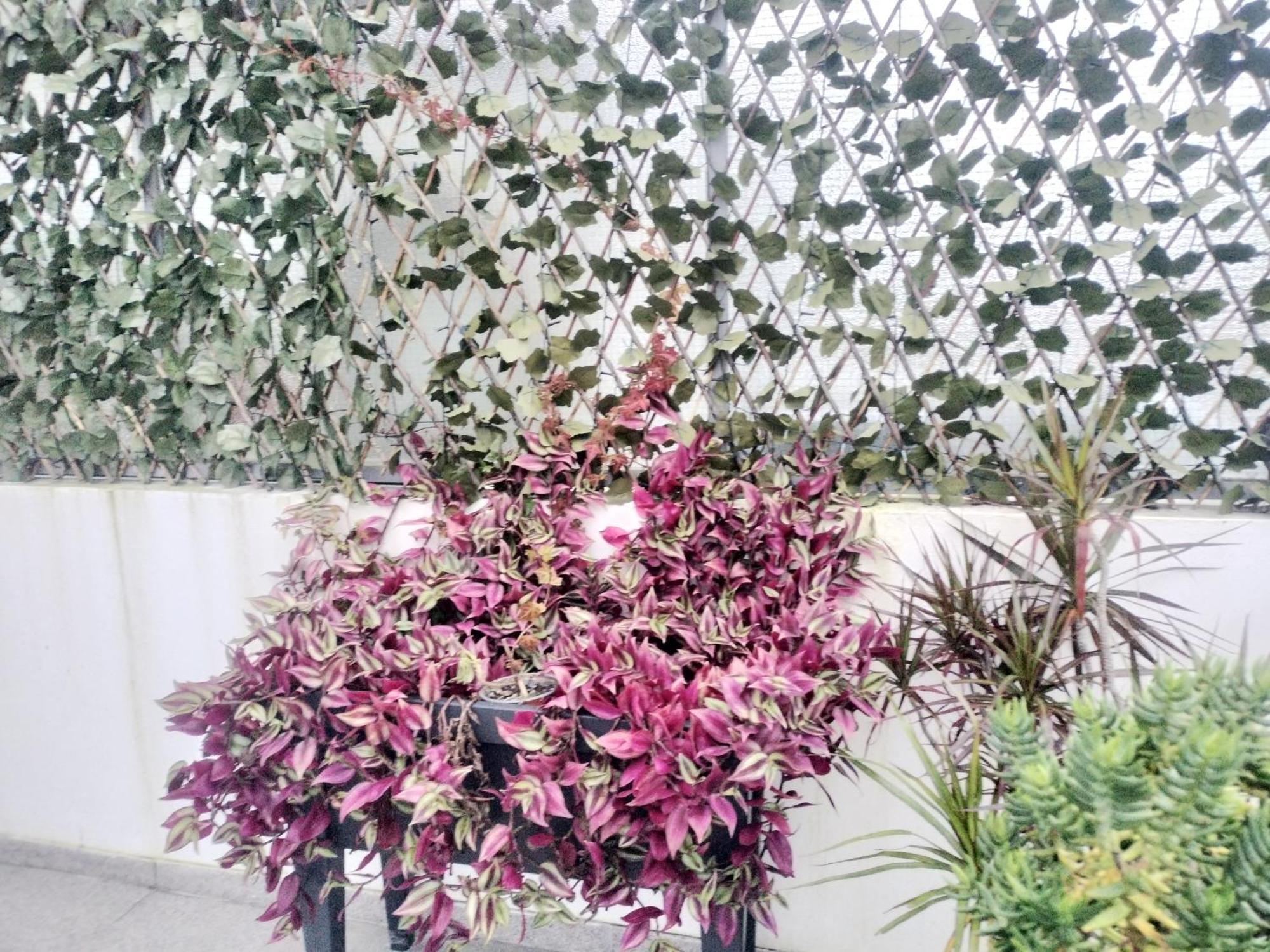 Apartamento Marques Rooftop Al *